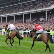 Cheltenham Festival 2013