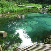 Blue Springs of Saula