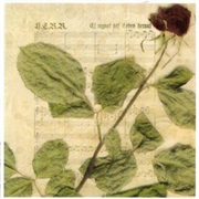 H.E.R.R. -  Es Regnet Das Leben Heraus