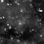 Paysage D'hiver - Einsamkeit