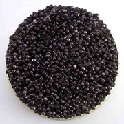 Caviar (Fish Eggs)
