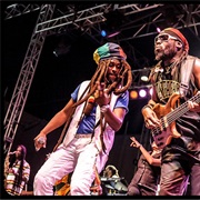 Steel Pulse