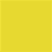 Canary Yellow