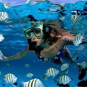 Snorkel in St. Lucia