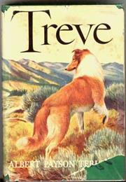 Treve