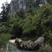 Gold Miners Inland Pack Track