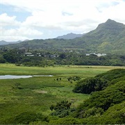 Kawainui Marsh Park, Oahu, Hawaii