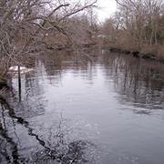 Great Egg Harbor River