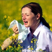 Hayfever