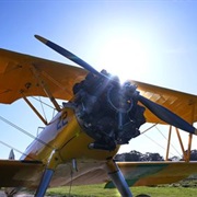 Tiger Moth World