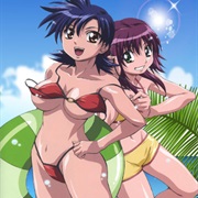 Zettai Seigi Love Pheromone