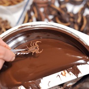 Chocolate Covered Scorpions