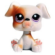 Littlest Pet Shop #84