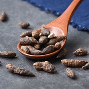 Coco-Grass (Cyperus Rotundus)