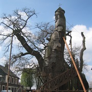 Chapel Oak, Allouville-Bellefosse, France