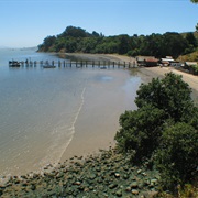 China Camp State Park, California