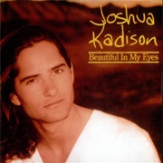 Beautiful in My Eyes - Joshua Kadison