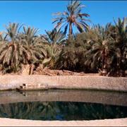 Siwa Oasis, Egypt