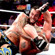 CM Punk vs. Brock Lesnar,Summerslam 2013