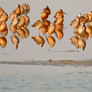 Kellys Slough National Wildlife Refuge