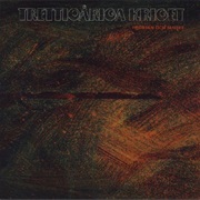 Trettioåriga Kriget - I Början Och Slutet