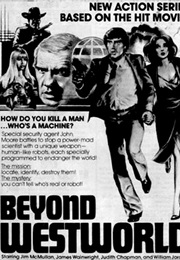 Westworld Destroyed (1980)