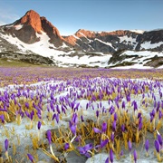 Rila National Park, Bulgaria