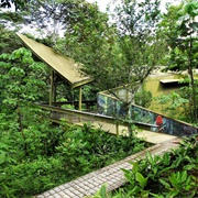 Panama Rainforest Discovery Center