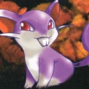 Rattata