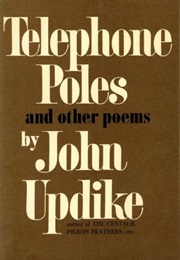 Telephone Poles (John Updike)