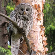 Farnebofjarden NP, Sweden
