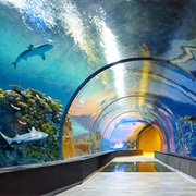 Natiobal Aquarium Denmark - Den Blå Planet