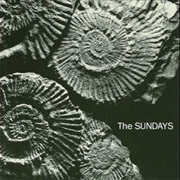 You're Not the Only One I Know - The Sundays