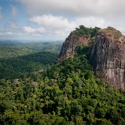Guiana Amazonian Park