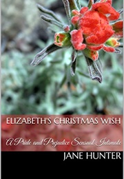 Elizabeth's Christmas Wish: A Pride and Prejudice Sensual Intimate (Jane Hunter)
