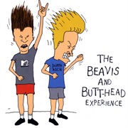 The Beavis and Butt-Head Experience