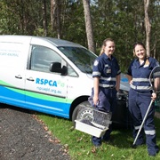 RSPCA Animal Rescue