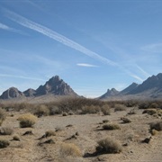 Pancho Villa State Park, New Mexico