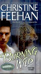 Burning Wild