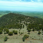 Scone Mountain National Park (NSW)