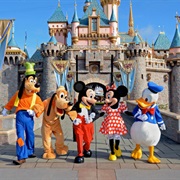 Visit Disney World/Land