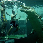 Cage of Death, Crocosaurus Cove