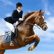 Equestrian