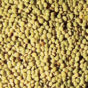 Eston Green Lentil