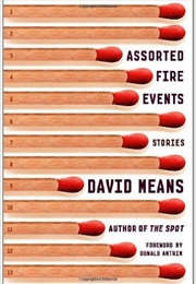 Assorted Fire Events (David Means)