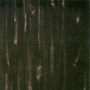 Wreck of the Hesperus - Light Rotting Out