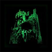 Kannabinõid - Kannabinõid