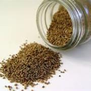 Celery Seed