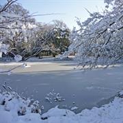 As Cold as 10F / -12C