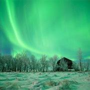 Northern Saskatchewan on a Winter's Night